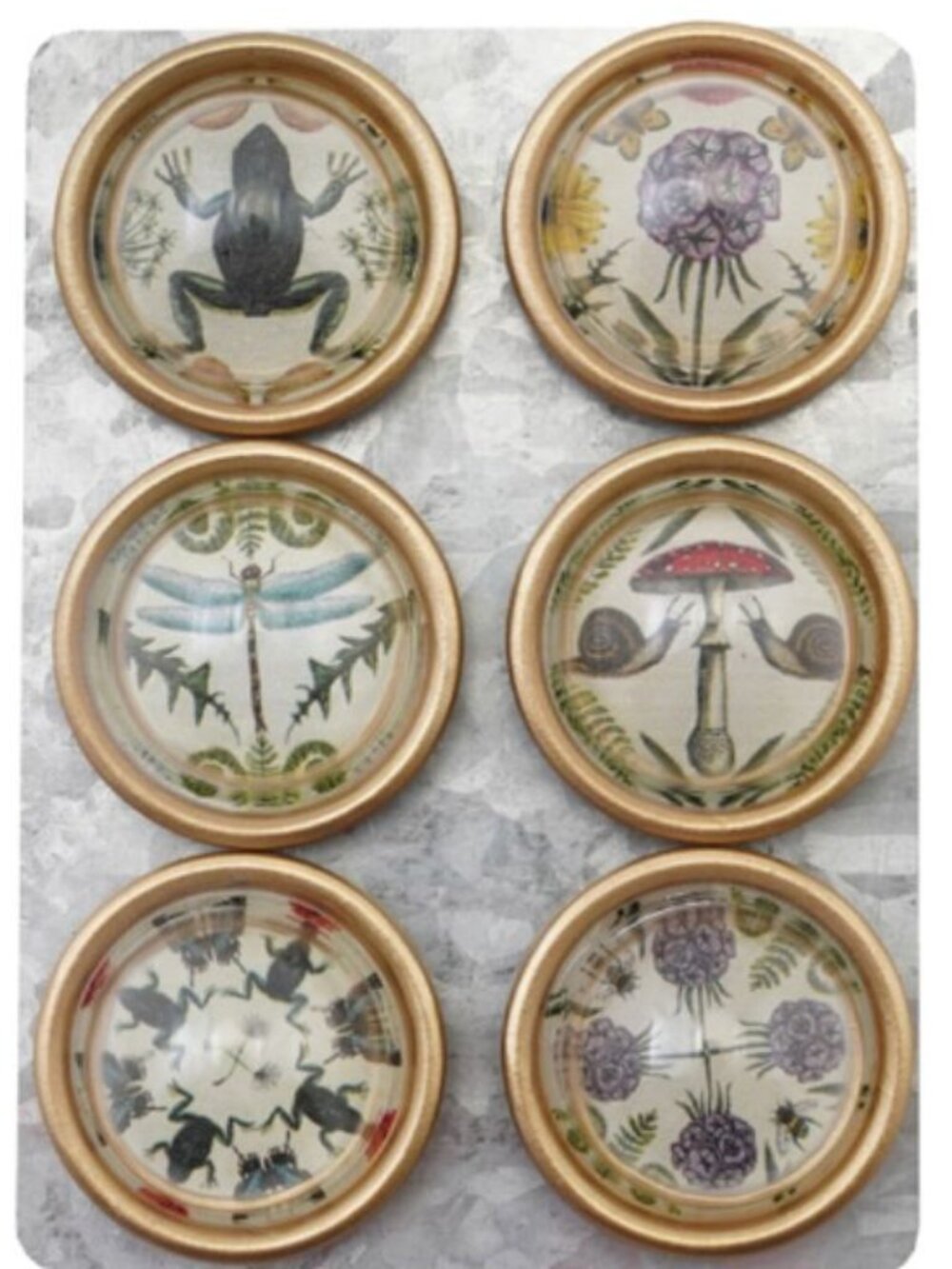 NIP SET 6 Convex Magnets Animals & Botanicals METAL CARD/GOLD RIM 1" GARDEN